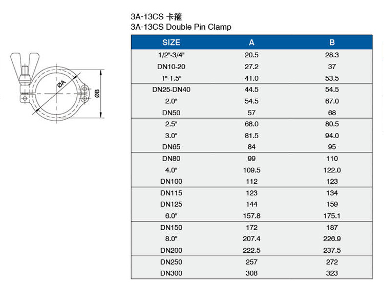 13CS介绍.jpg